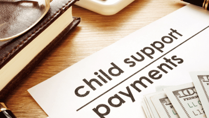 child support laws and guidelines for south carolina
